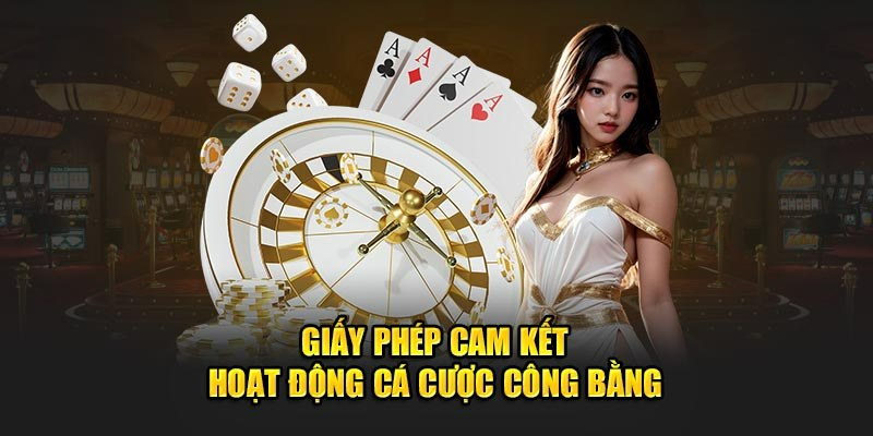 Giấy phép hoạt động 58Win – Minh bạch uy tín hàng đầu